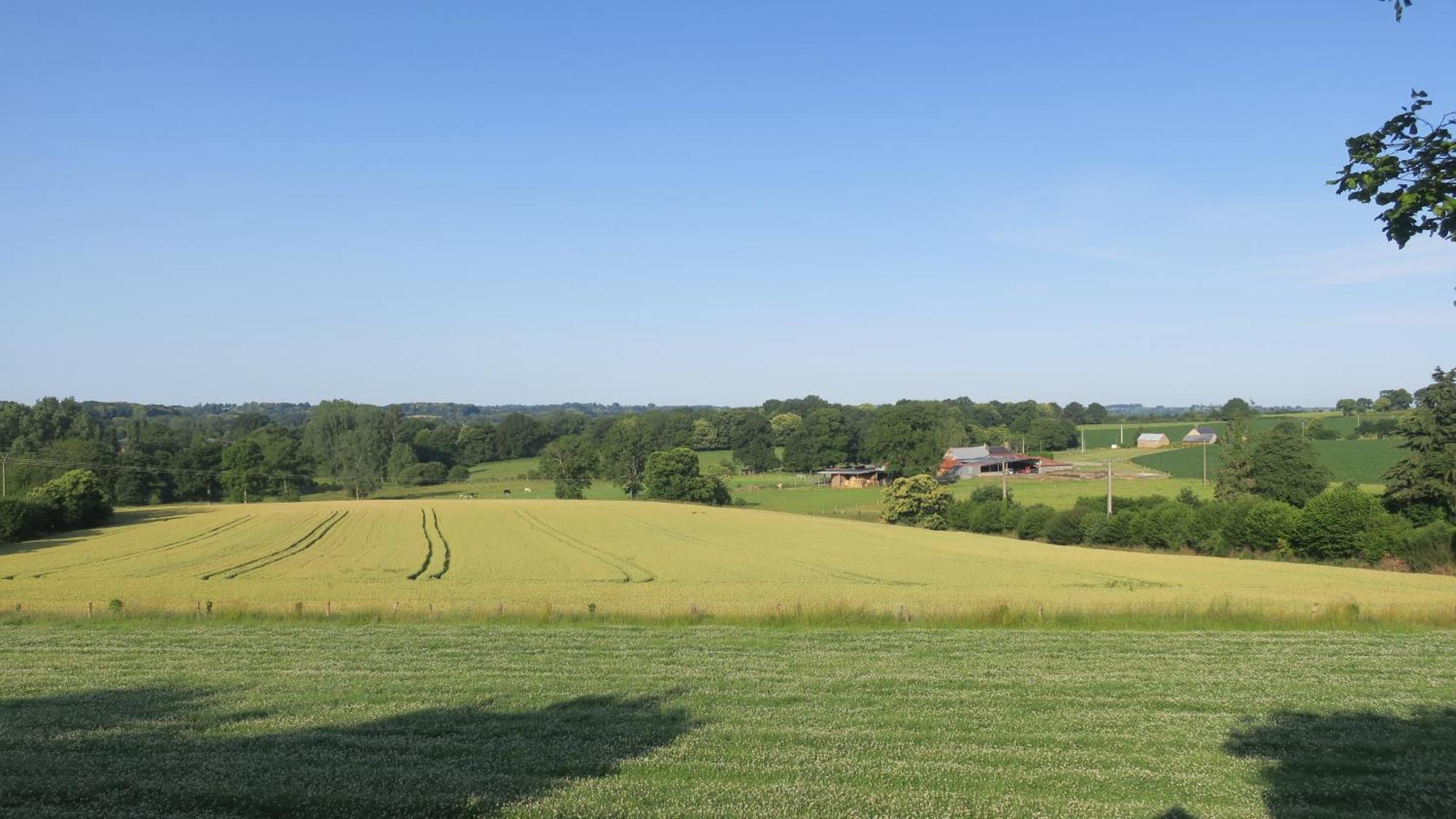 Une Maison A La Campagne Saint-Mars-sur-la-Futaie Exterior photo